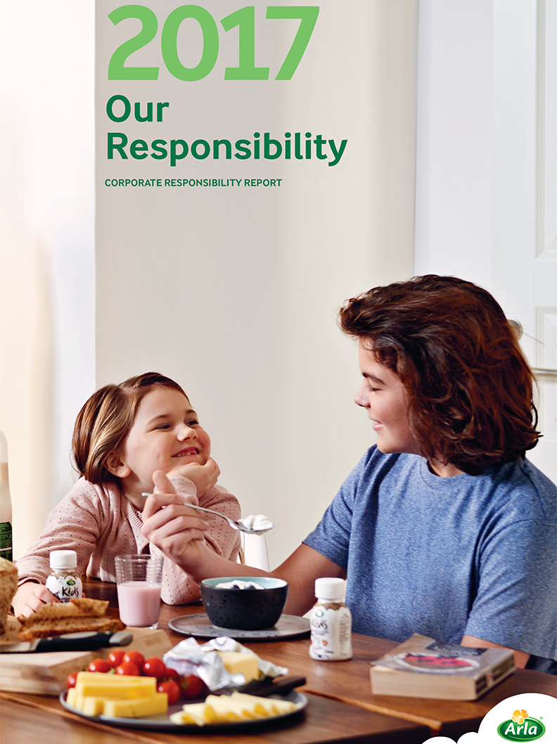 Our Responsibility - Report 2017