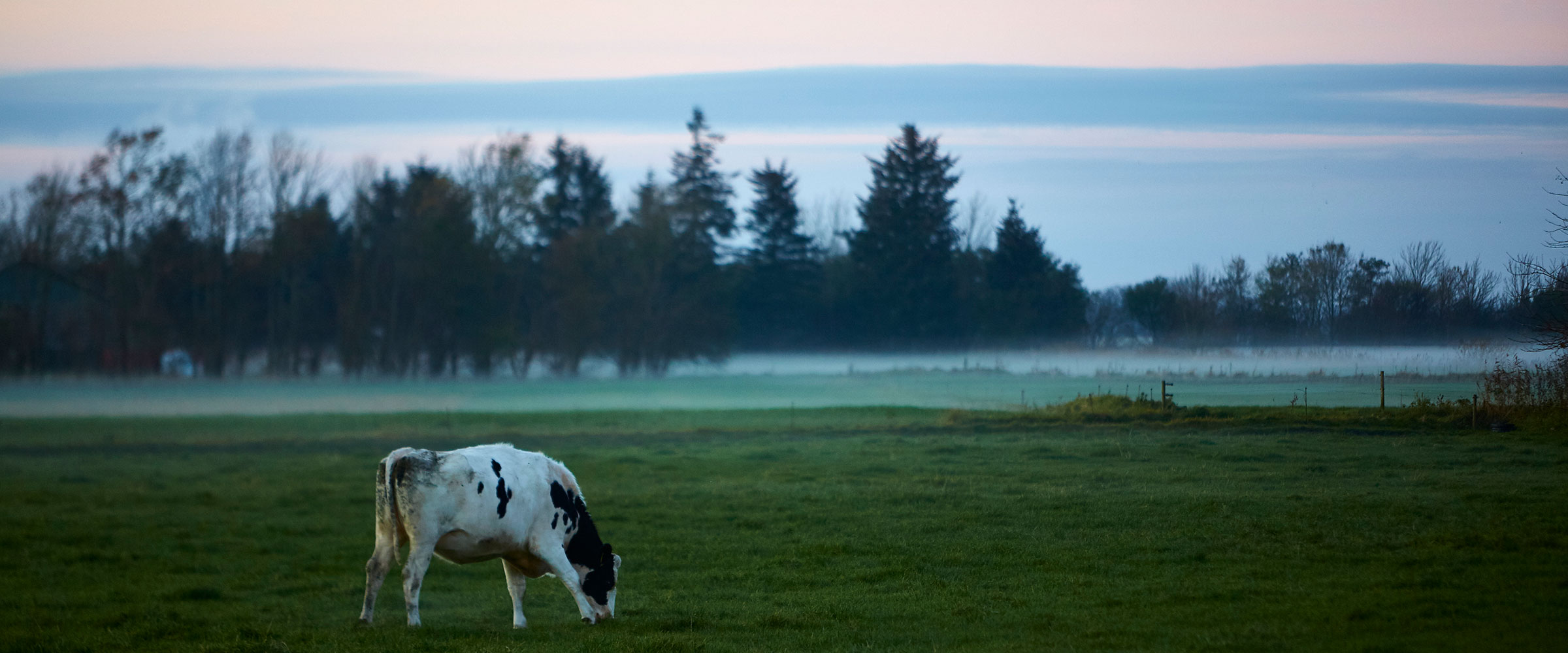 Consolidated ESG data