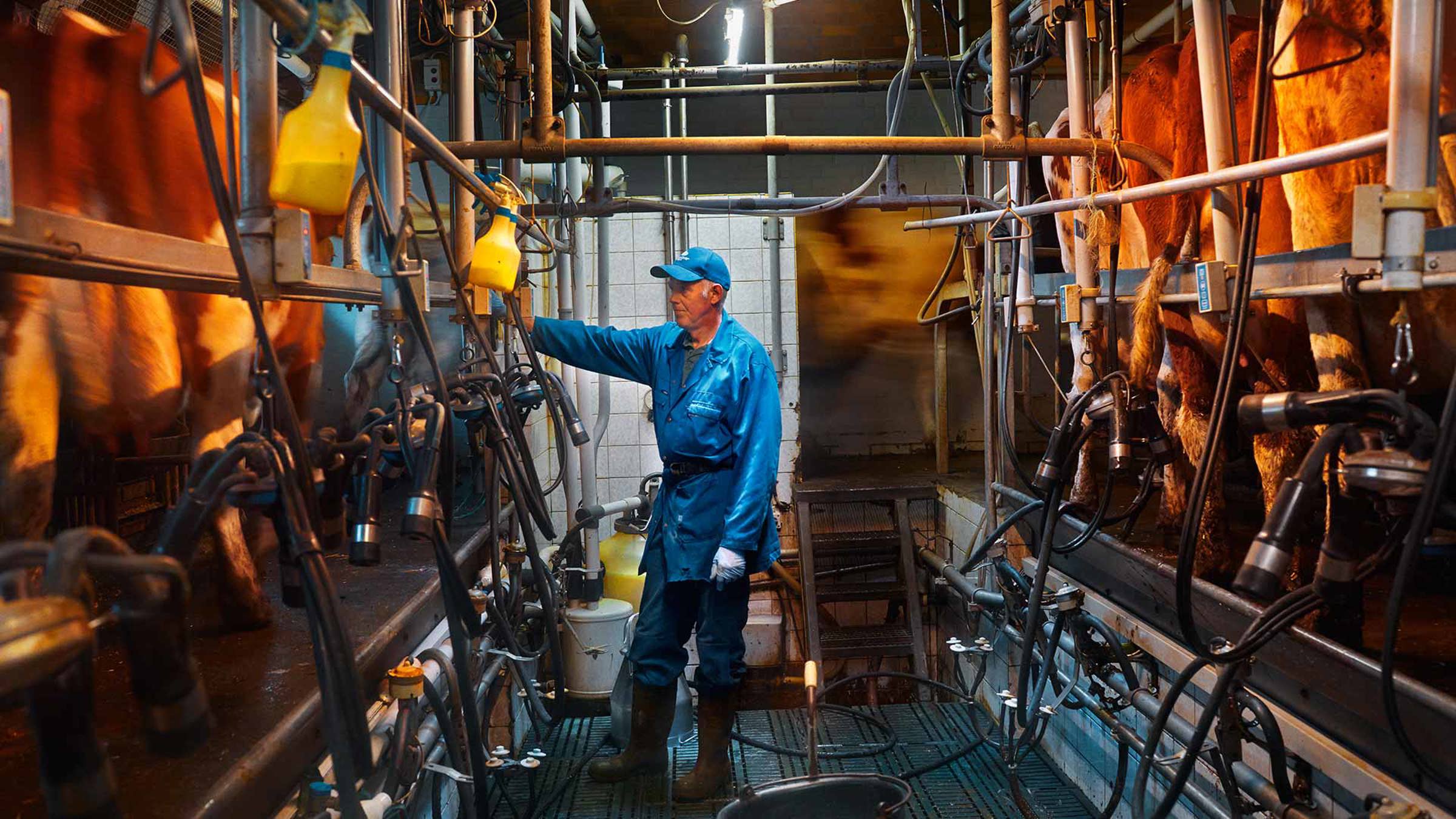 Photo of farmer