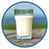 Milk quality and food safety