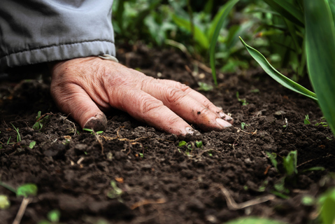 Caring for soil